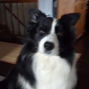 Meet your Posher, Andrzej